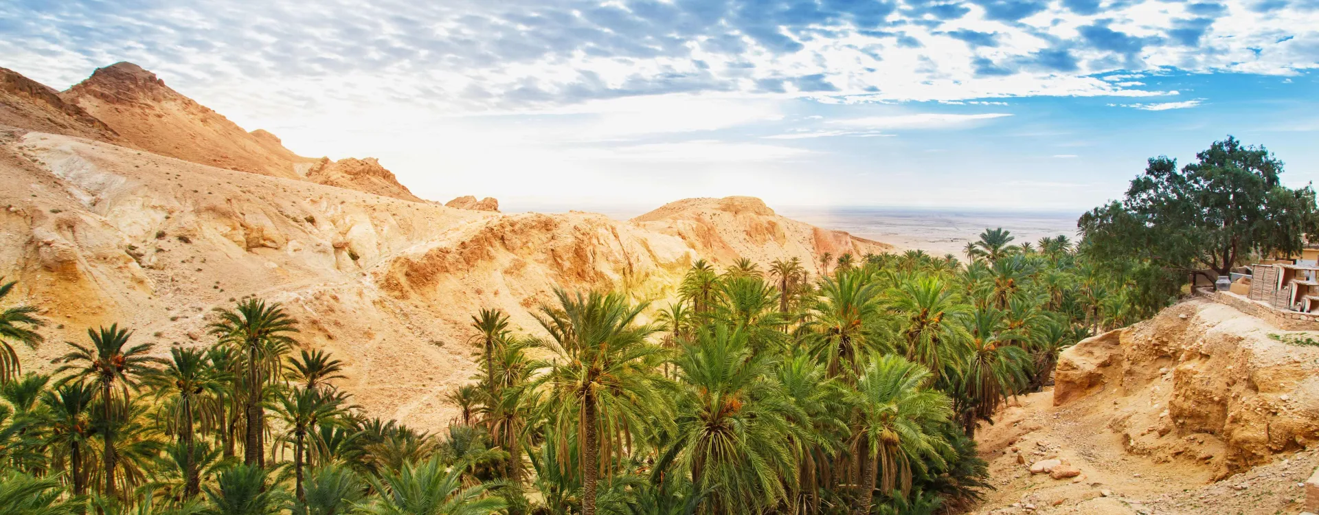 oasis-chebika-tunisie.jpg